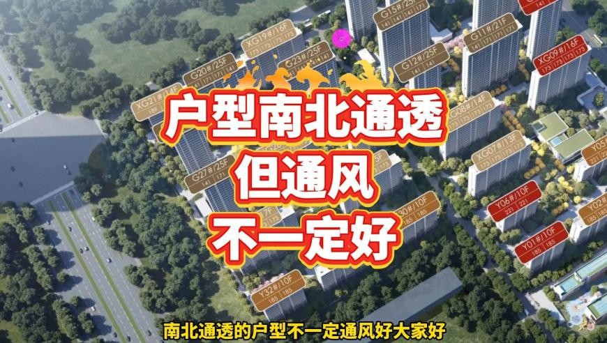 被爽文压垮的年轻人,76074管家婆网站,创造力策略实施推广_升级版V13.50