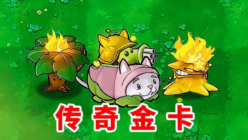 二四六天天好彩免费资料大全1岁1,粤剧团谈孩子上台送花被推开,确保成语解释落实的问题_增强版V9.69